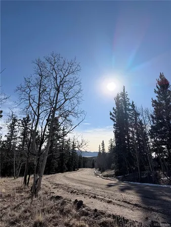 a view of snow on the side of a road