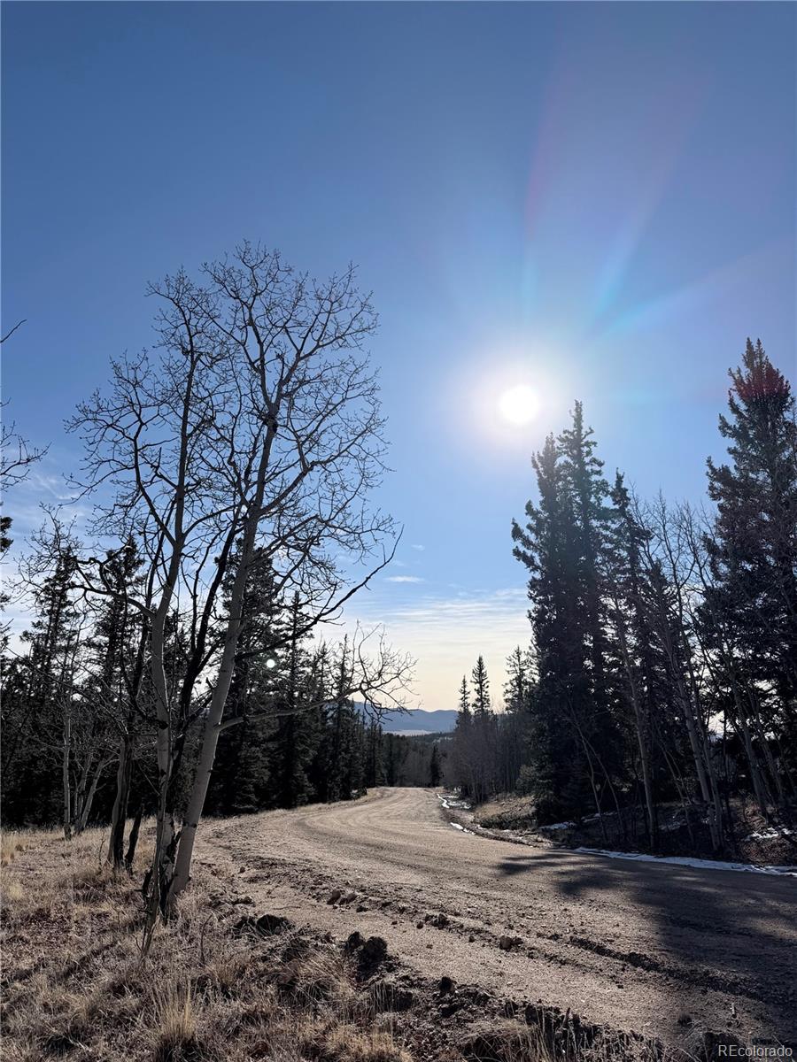 50 Rawhide Way Como, CO 80432 - Photo 3 of 12 a view of snow on the side of a road