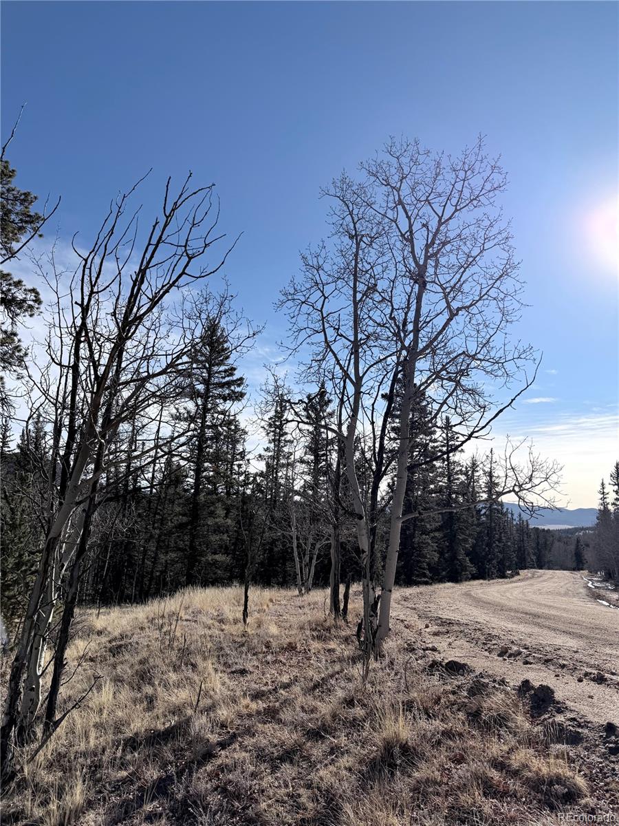 50 Rawhide Way Como, CO 80432 - Photo 4 of 12 a view of snow on the side of a road