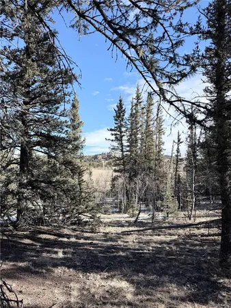 a view of a yard with a trees
