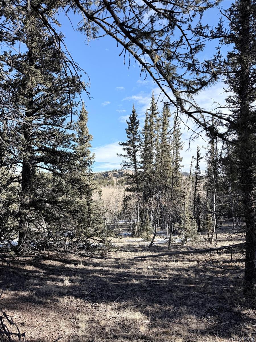 50 Rawhide Way Como, CO 80432 - Photo 5 of 12 a view of a yard with a trees