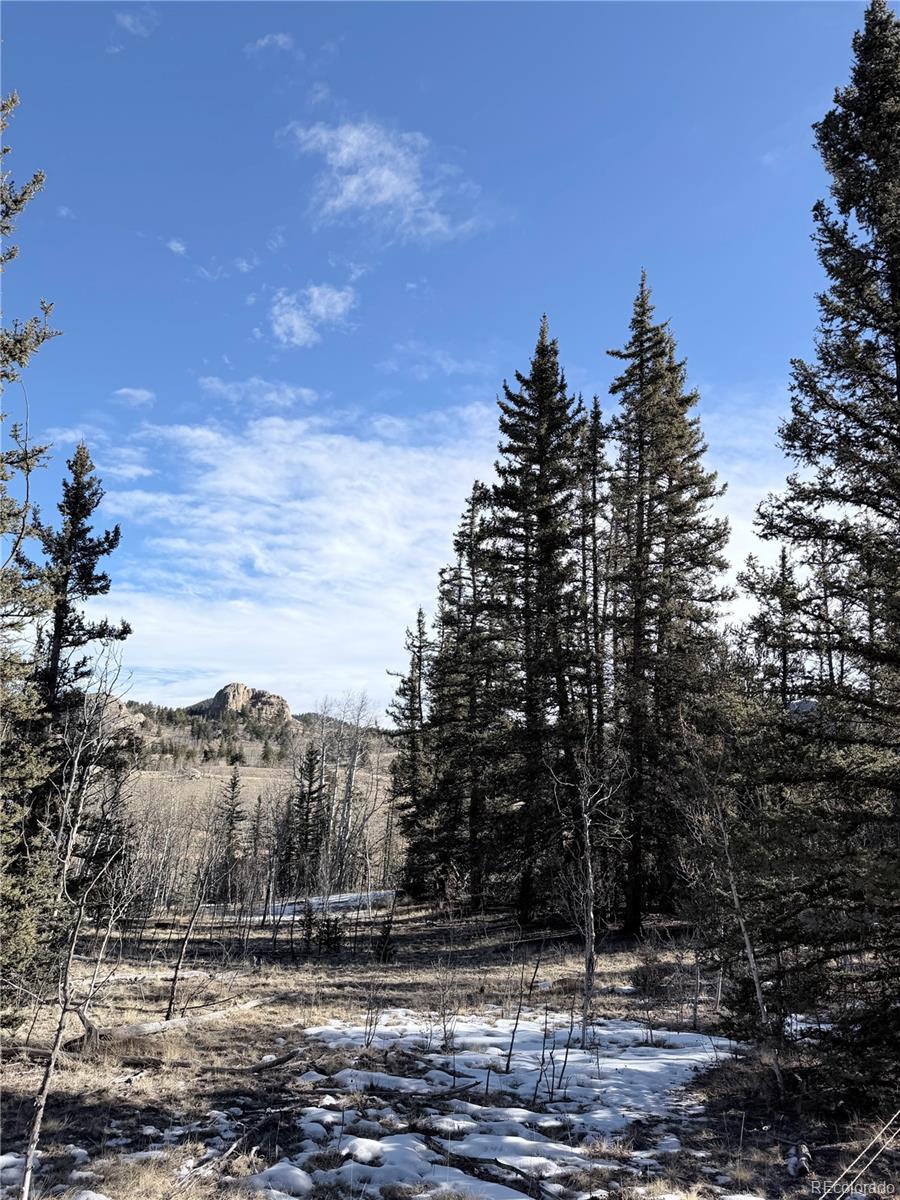 50 Rawhide Way Como, CO 80432 - Photo 6 of 12 a view of a field