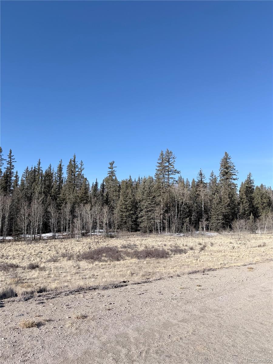 50 Rawhide Way Como, CO 80432 - Photo 8 of 12 a view of a snow with a mountain in the background