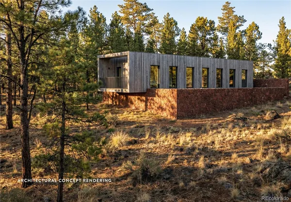a view of backyard with large trees and wooden fence