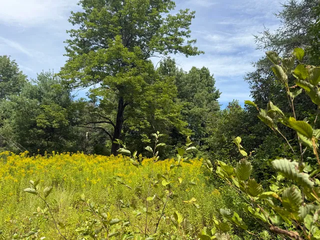 $225,000 | Lot 14 Dead River Road, Bowdoin, ME 04287