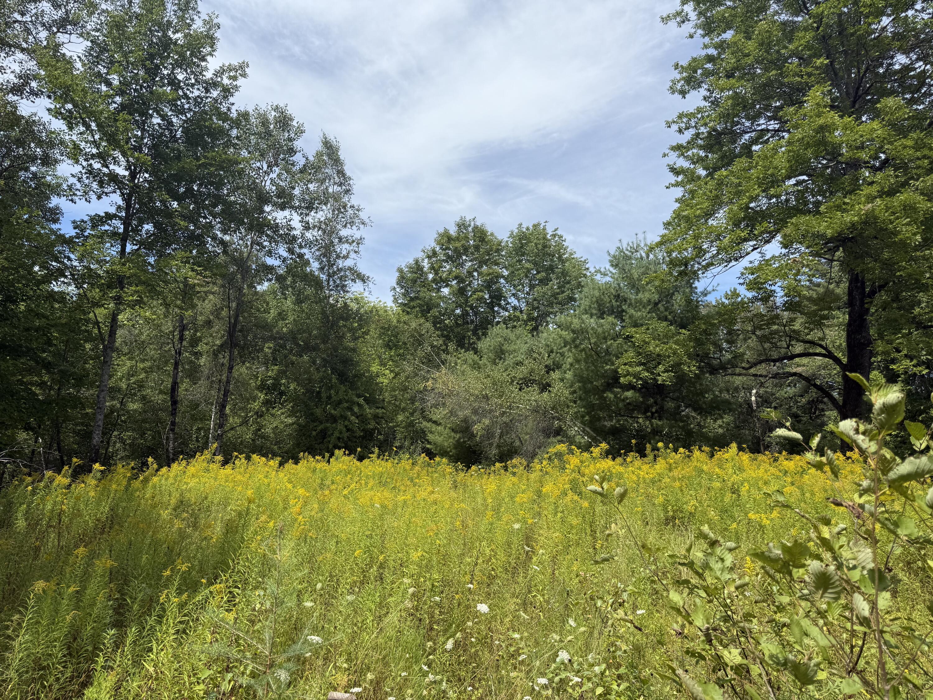 Lot 14 Dead River Road Bowdoin, ME 04287 - Photo 3 of 3 14 DRR 3