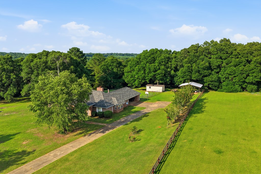 344 Hidden Springs Road Midland City, AL 36350 - Photo 55 of 64