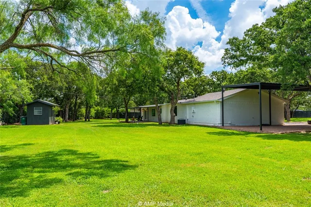 a view of a backyard