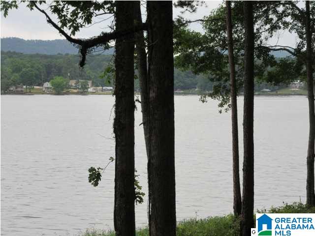 0 Timber Trail, Unit LOT 29 Sylacauga, AL 35151 - Photo 4 of 25