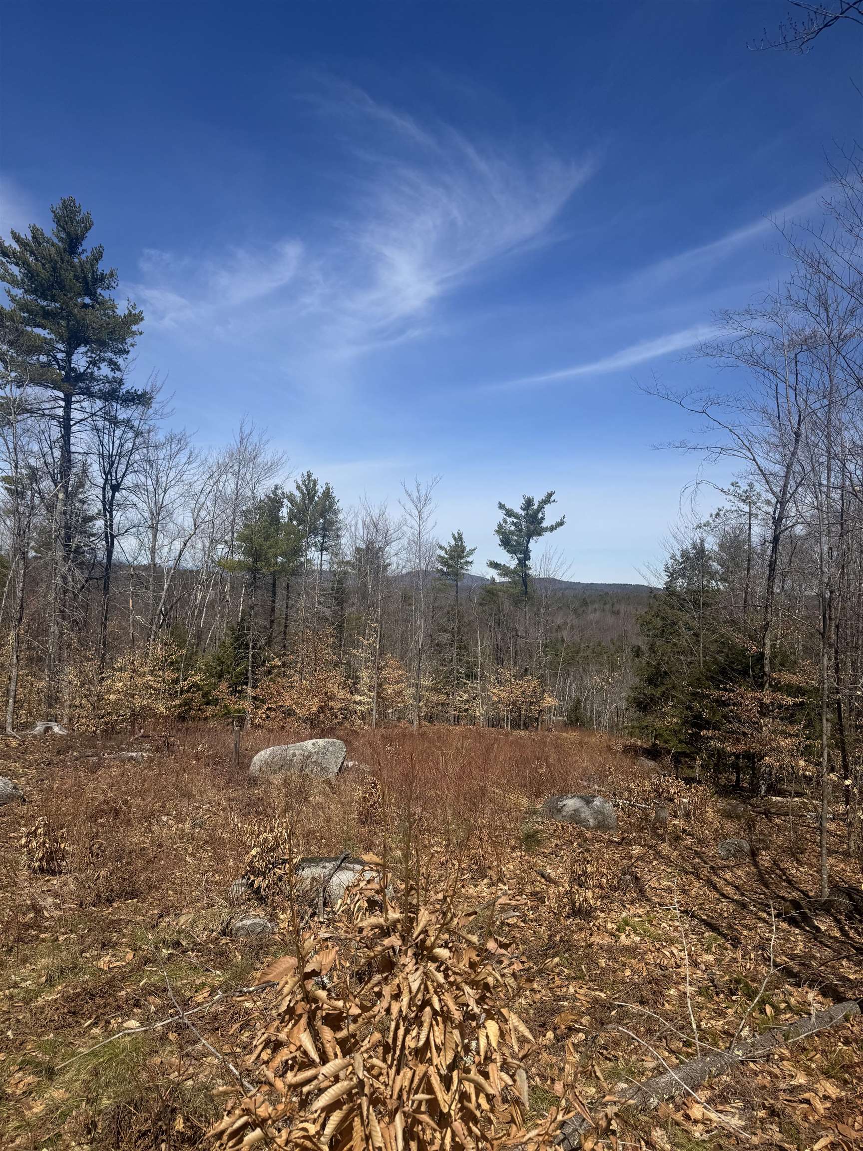 8 Wakefield North Road Wolfeboro, NH 03894 - Photo 2 of 3