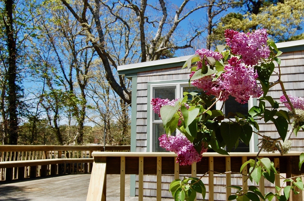 495 School House Road Eastham, MA 02642 - Photo 34 of 40