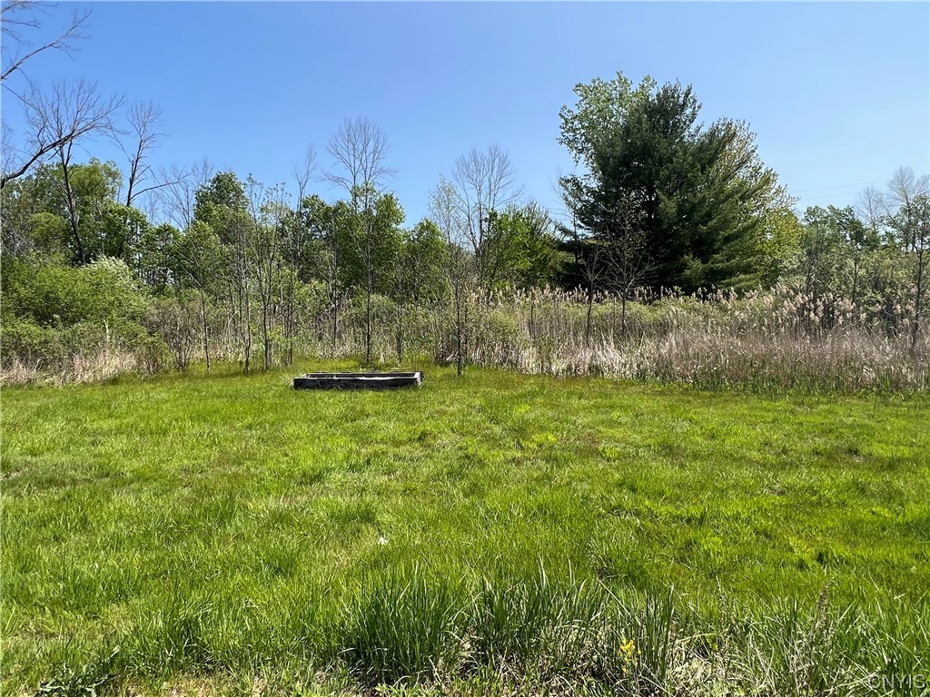 8894 Caughdenoy Road Clay, NY 13029 - Photo 4 of 6