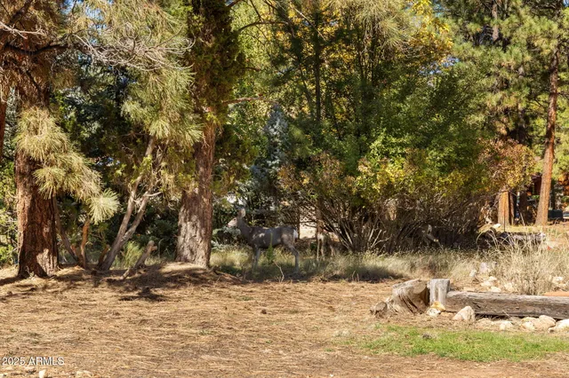 a kitchen with stainless steel appliances granite countertop a sink and a stove