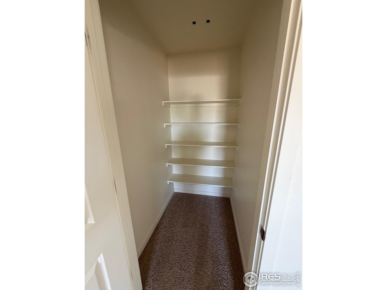 107 65th Avenue Greeley, CO 80634 - Photo 30 of 38 Linen closet by laundry room
