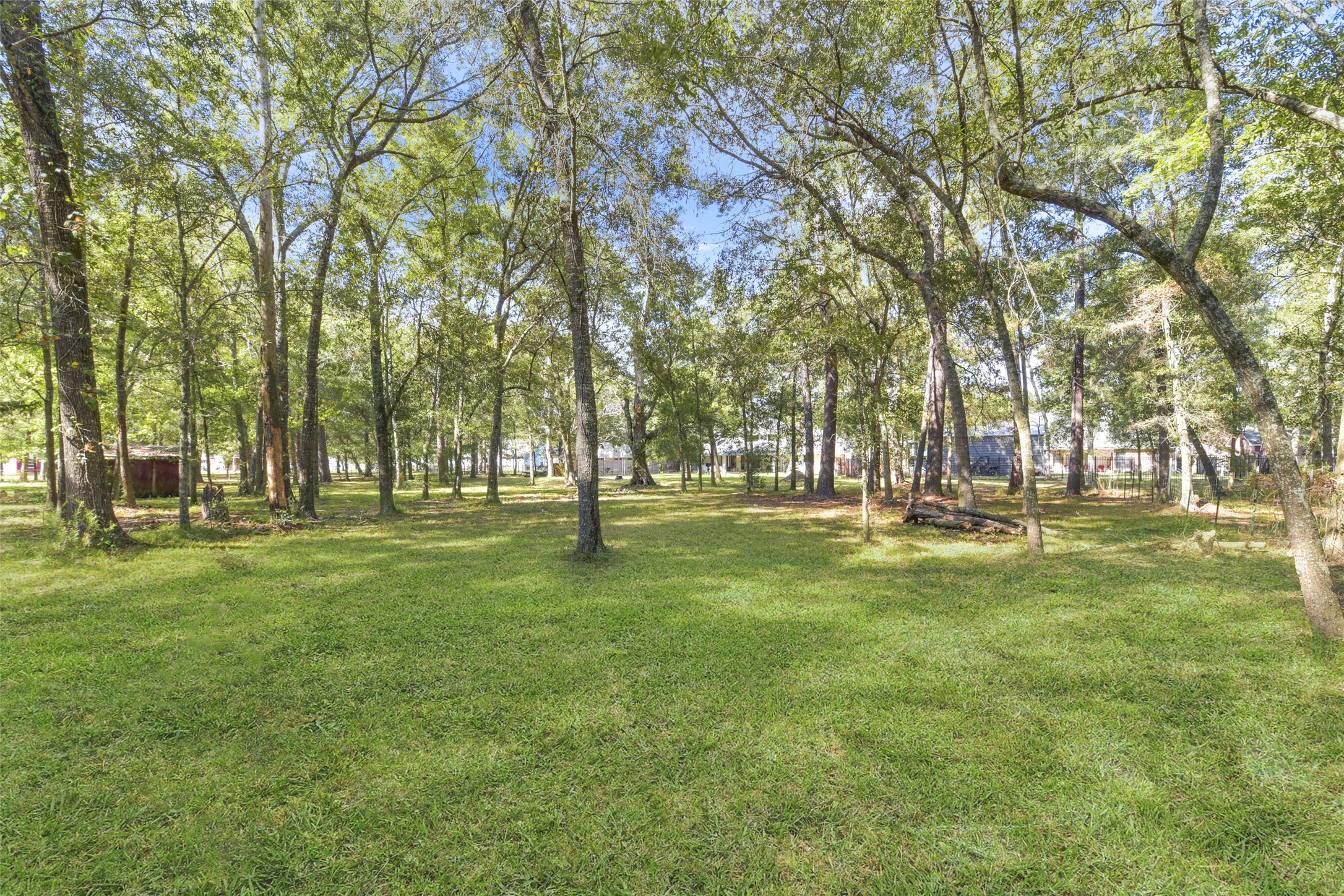 223 Oetken West Road Anahuac, TX 77514 - Photo 43 of 50 a view of yard with trees