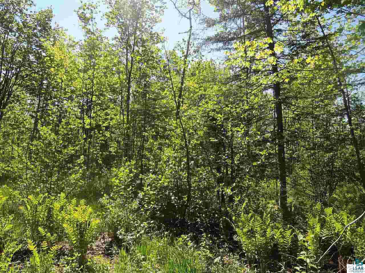 0 Stage Road Cornucopia, WI 54827 - Photo 15 of 22 Gallery Image 15