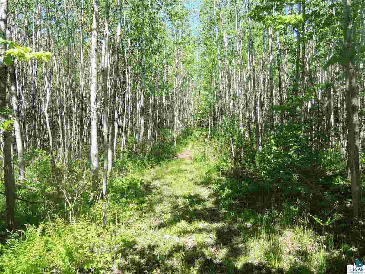 Gallery Image 6
