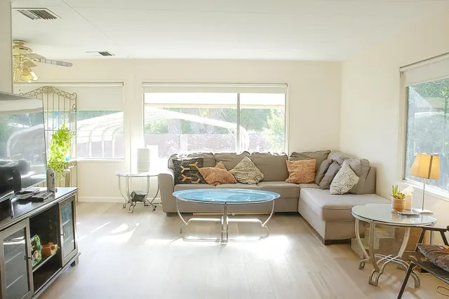 a living room with furniture and a potted plant
