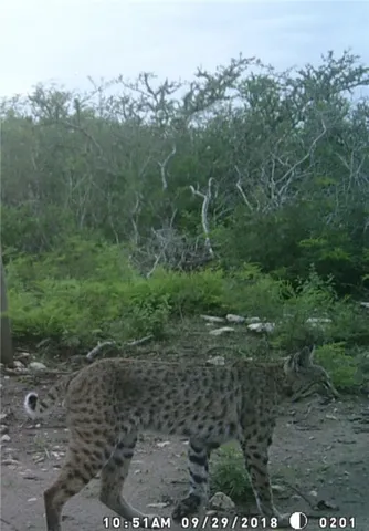 $105,000 | 0 Frontier, San Diego, TX 78384