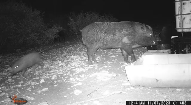 $105,000 | 0 Frontier, San Diego, TX 78384