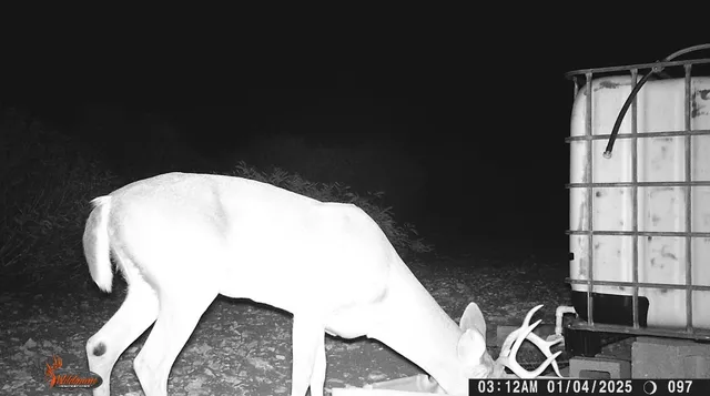 $105,000 | 0 Frontier, San Diego, TX 78384