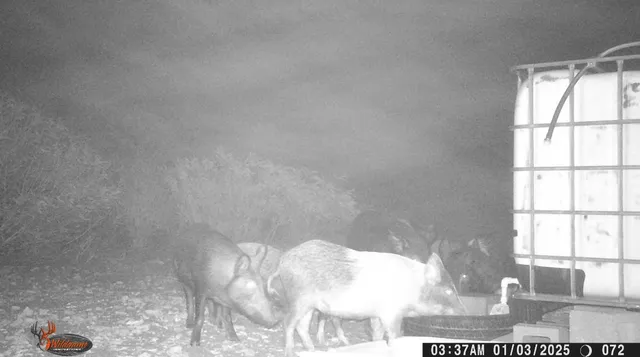 $105,000 | 0 Frontier, San Diego, TX 78384