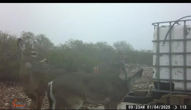 $105,000 | 0 Frontier, San Diego, TX 78384