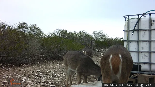 $105,000 | 0 Frontier, San Diego, TX 78384