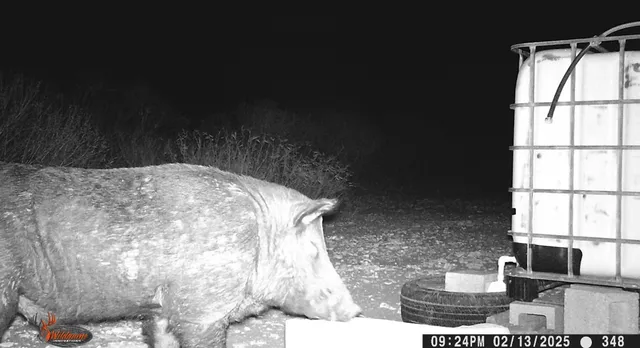 $105,000 | 0 Frontier, San Diego, TX 78384