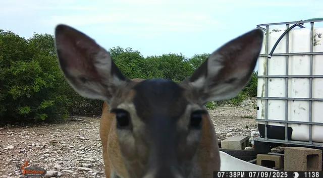 $105,000 | 0 Frontier, San Diego, TX 78384