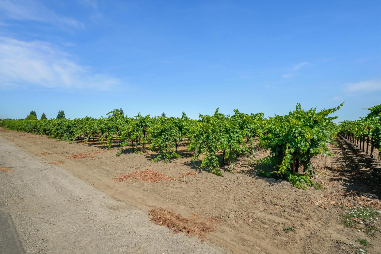 9255 East Handel Road Lodi, CA 95240 - Photo 11 of 18 a view of a road with a building in the background