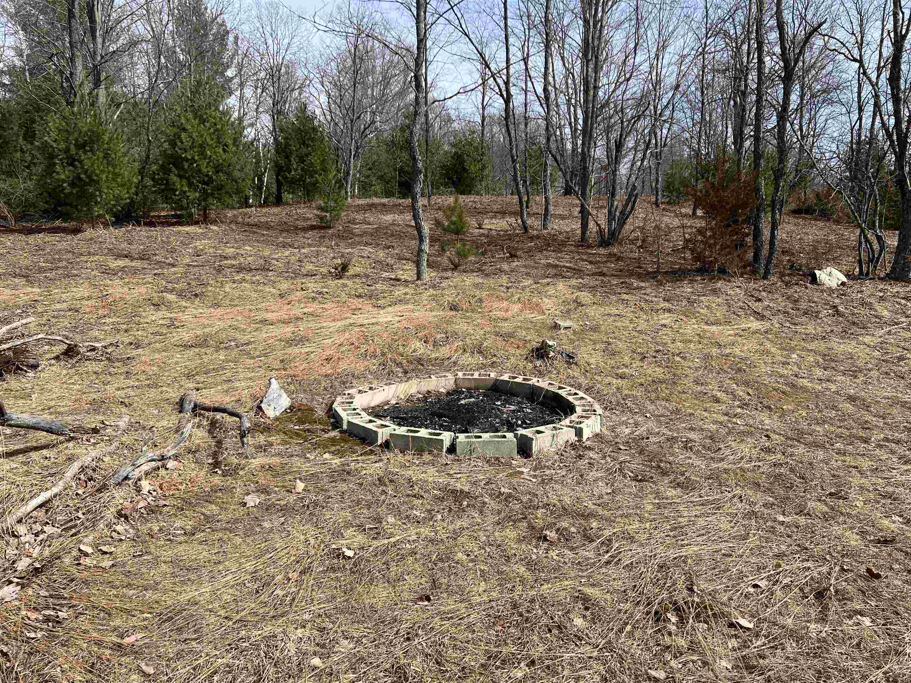 3660 Luce Road South Boardman, MI 49680 - Photo 19 of 29