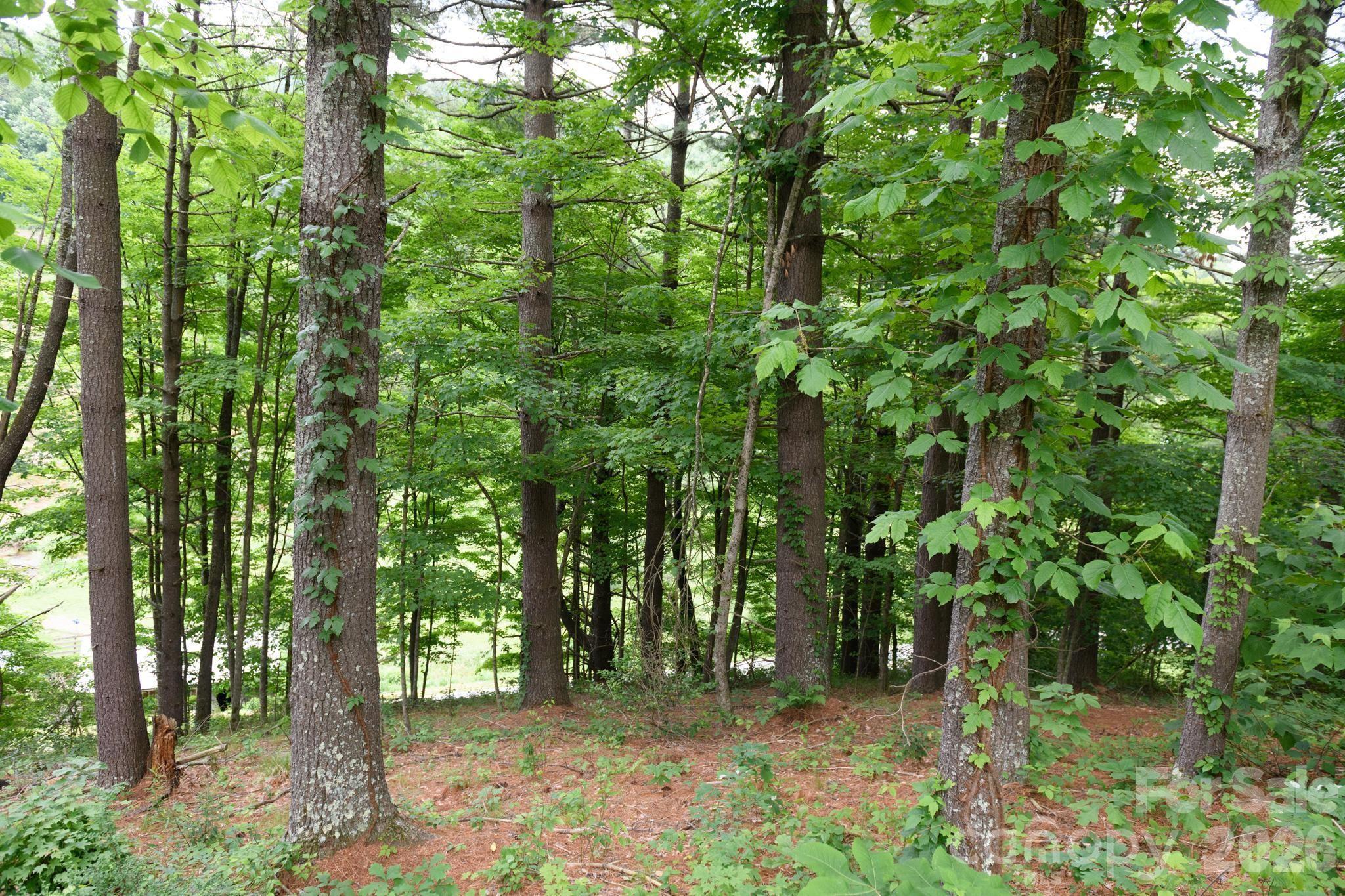 Tbd Tbd Sycamore Road Vilas, NC 28692 - Photo 19 of 38