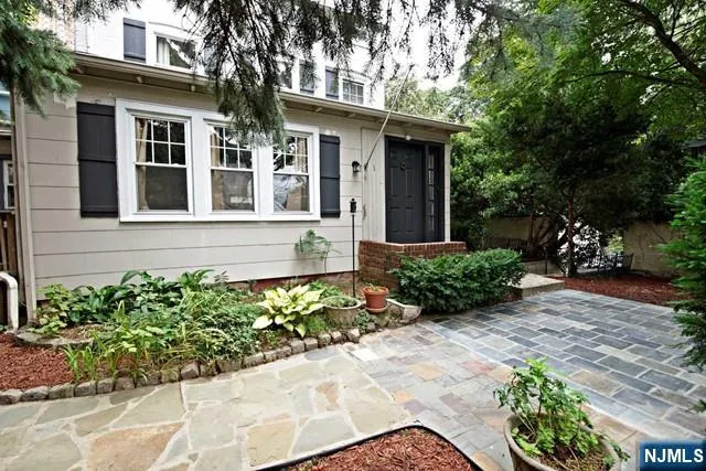a view of a backyard with potted plants