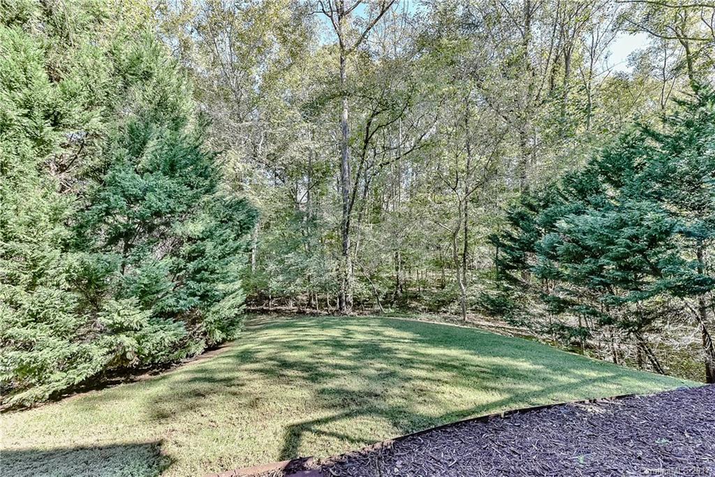 1621 Windy Ridge Road Charlotte, NC 28270 - Photo 23 of 24 a view of a yard with a trees