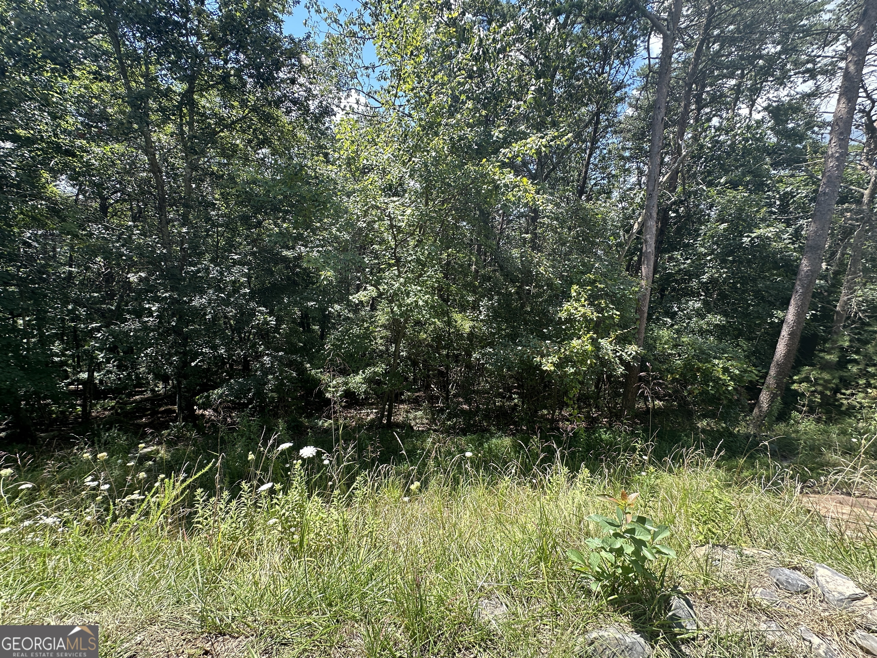 0 Oak Trace East Jasper, GA 30143 - Photo 11 of 13