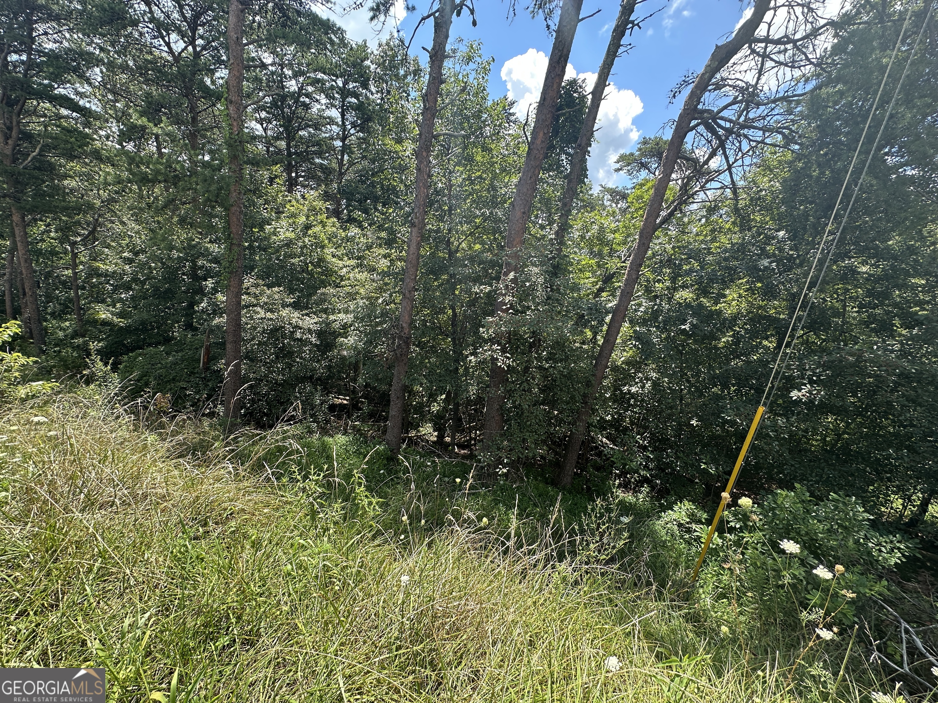 0 Oak Trace East Jasper, GA 30143 - Photo 12 of 13