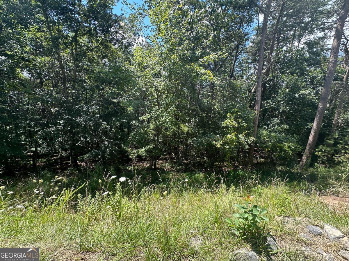 0 Oak Trace East Jasper, GA 30143 - Photo 3 of 13