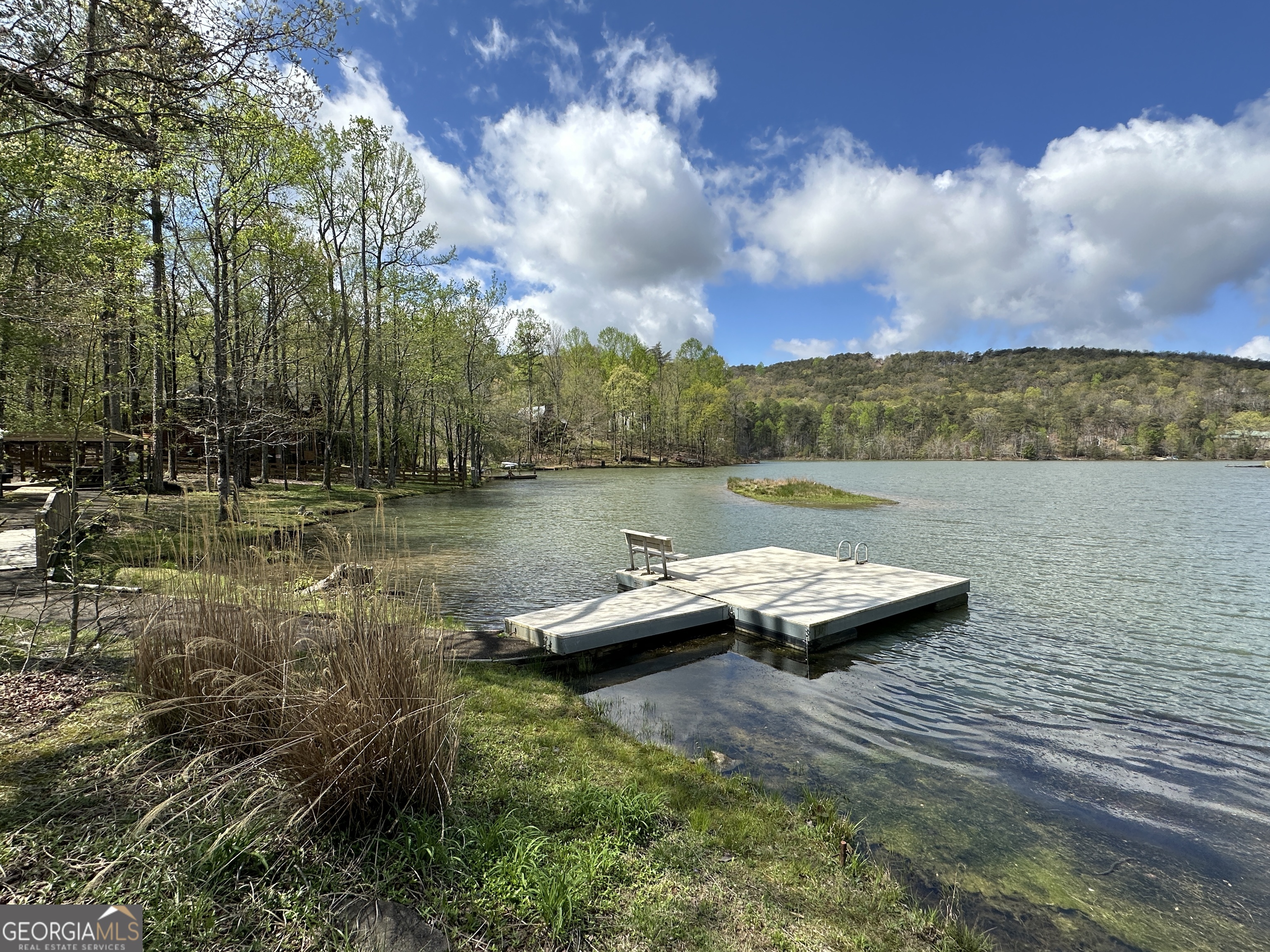 0 Oak Trace East Jasper, GA 30143 - Photo 5 of 13