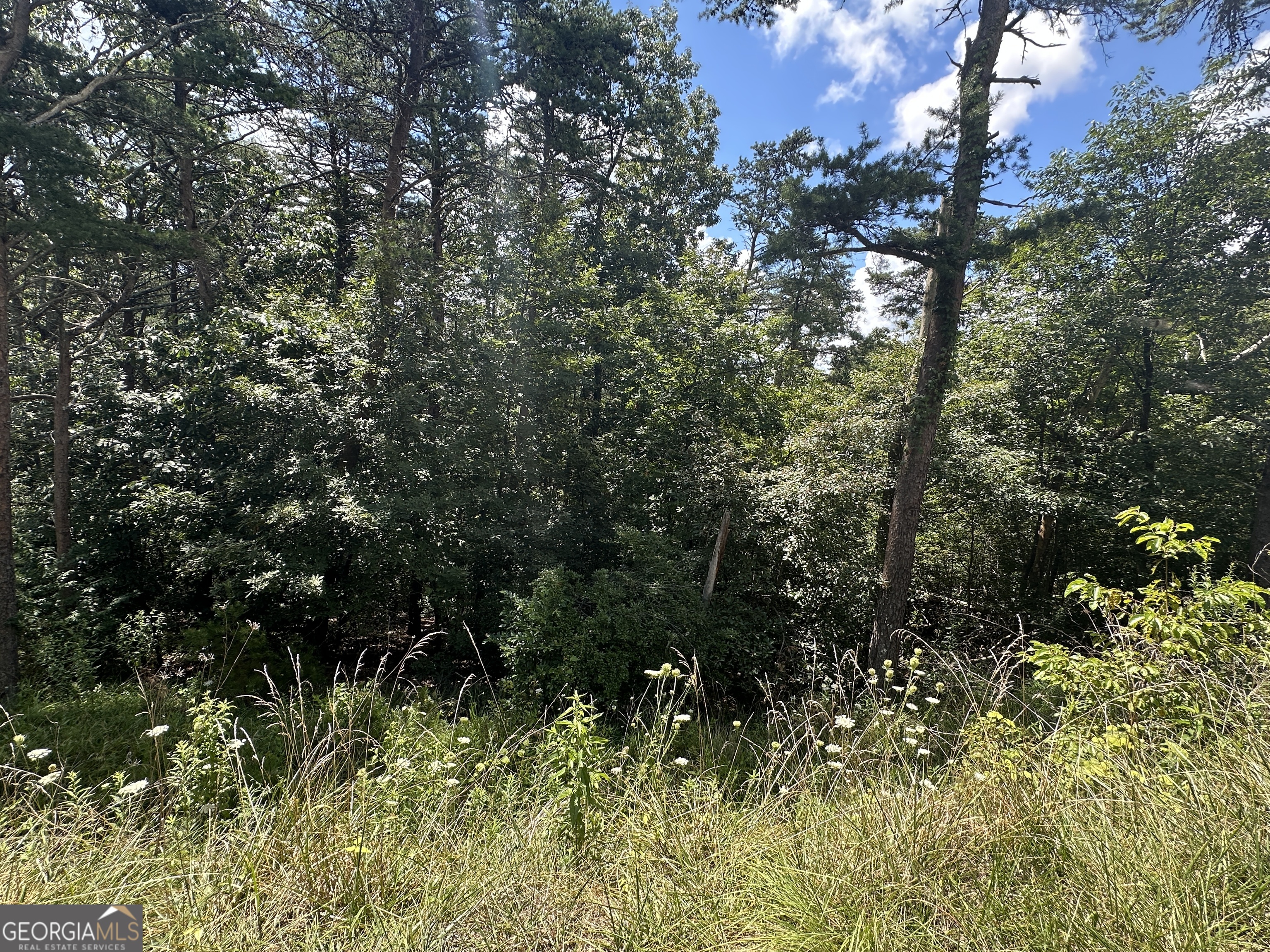 0 Oak Trace East Jasper, GA 30143 - Photo 6 of 13