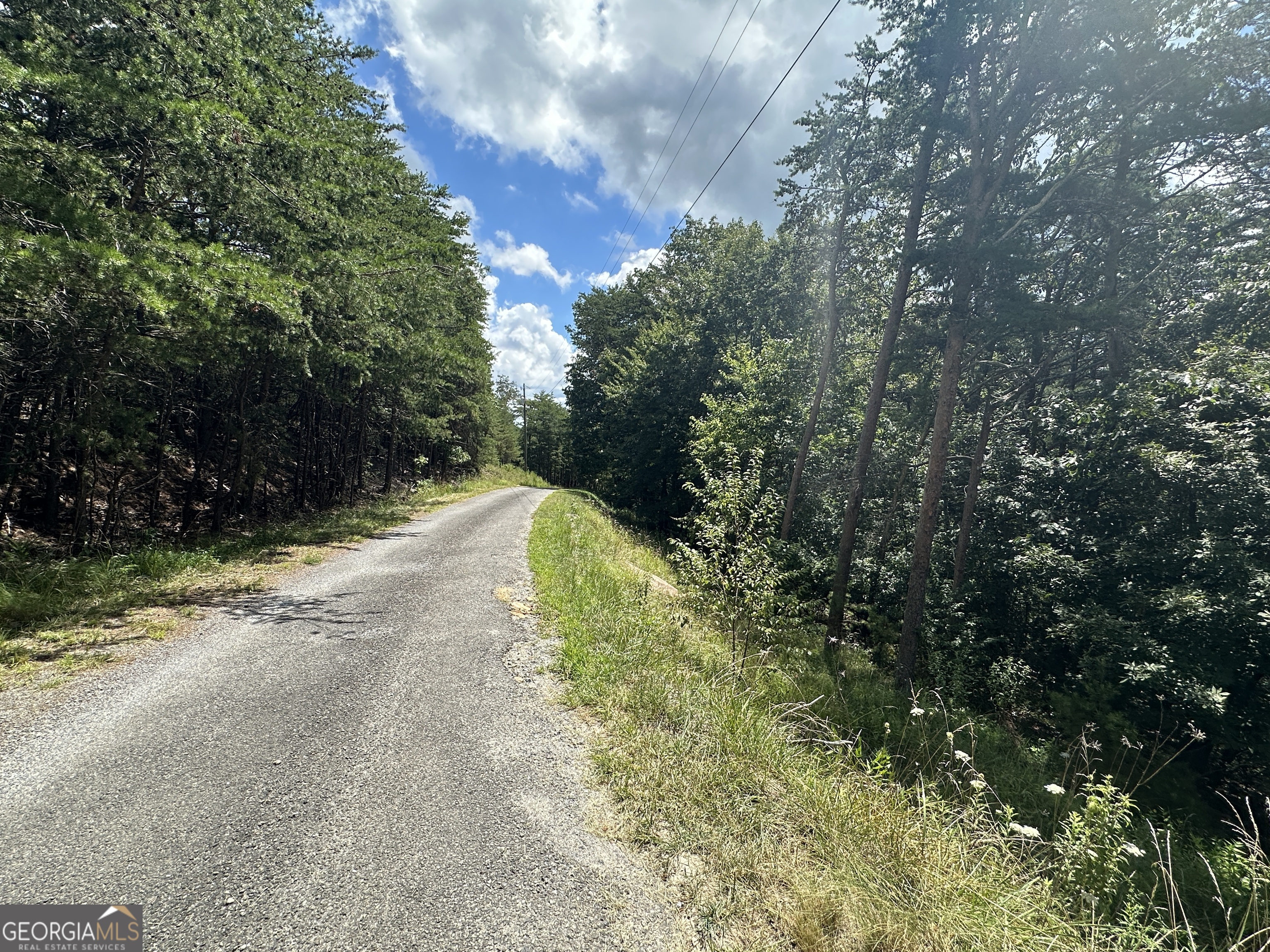 0 Oak Trace East Jasper, GA 30143 - Photo 8 of 13