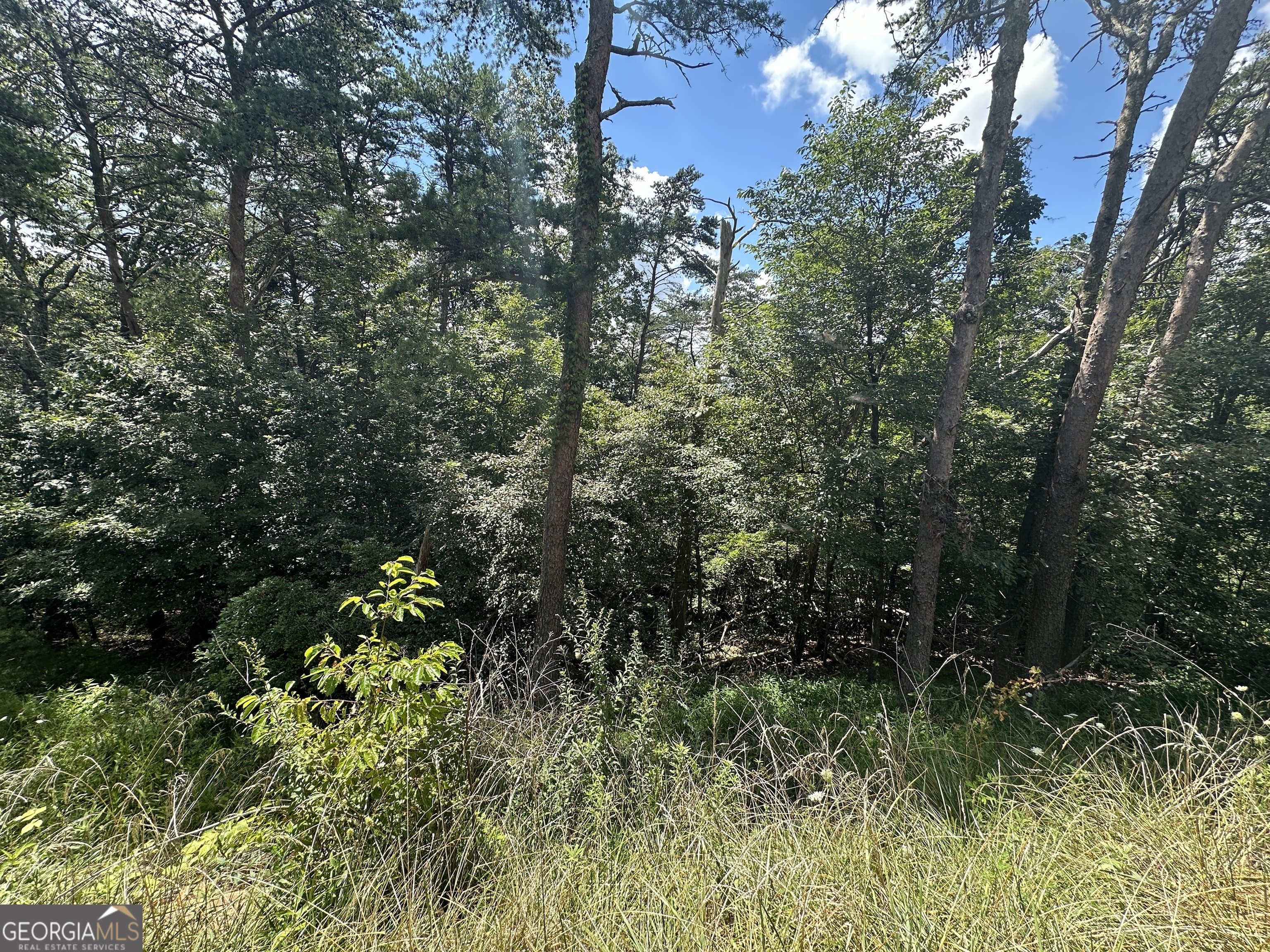 0 Oak Trace East Jasper, GA 30143 - Photo 9 of 13