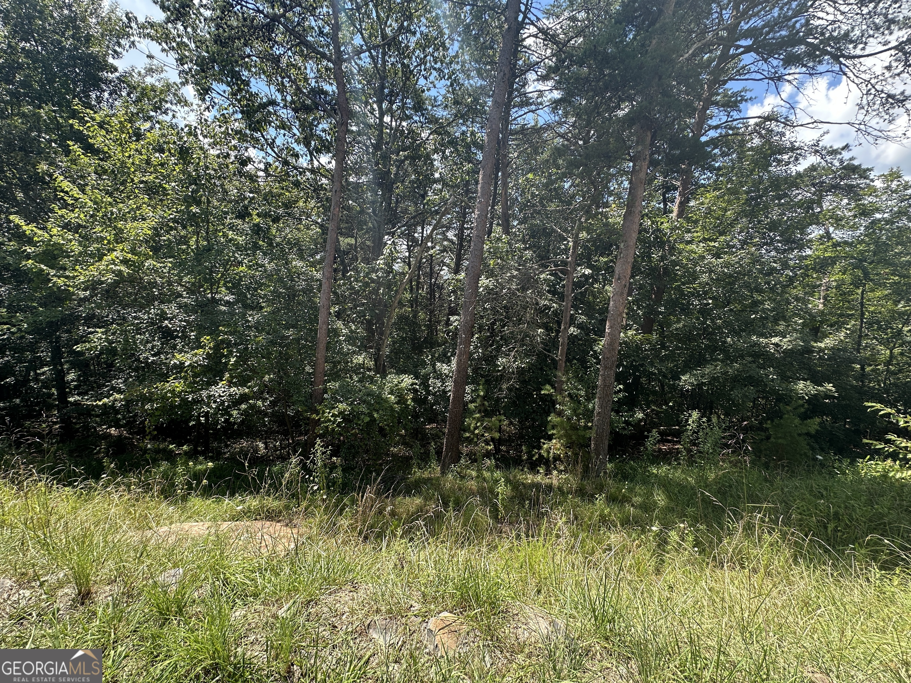 0 Oak Trace East Jasper, GA 30143 - Photo 10 of 13