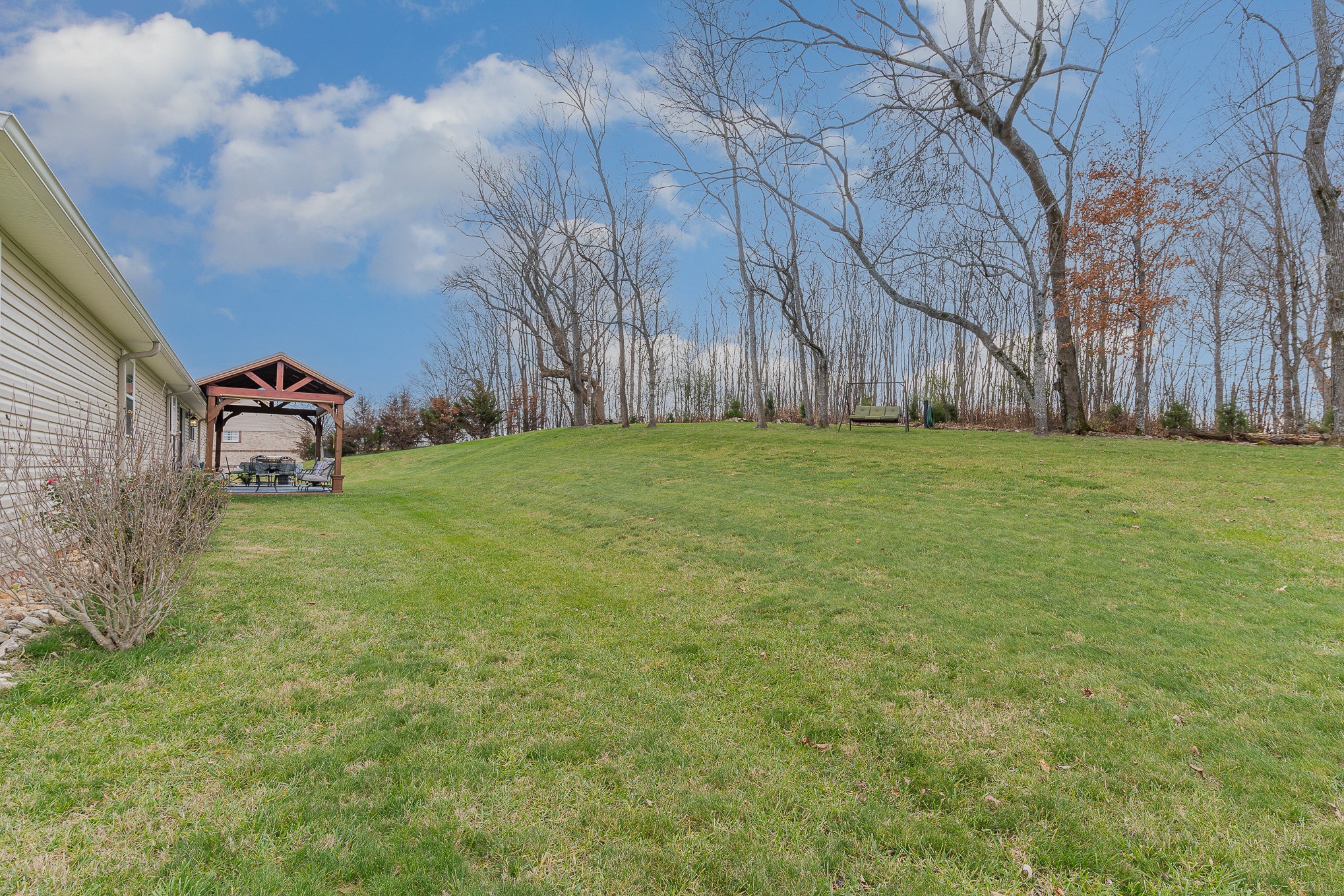 1525 Heller Ridge Spring Hill, TN 37174 - Photo 33 of 57 a fire hydrant in the middle of a field