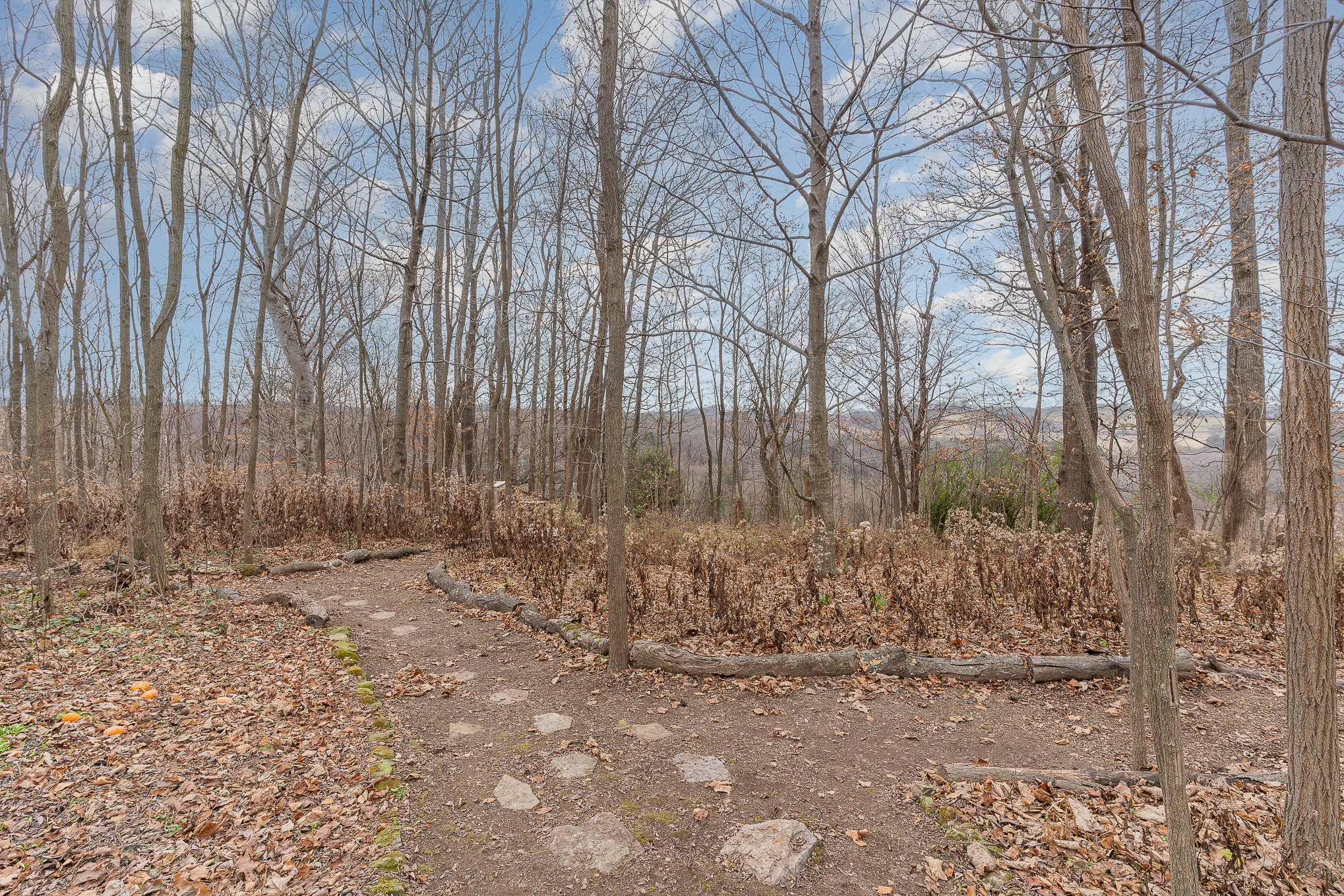 1525 Heller Ridge Spring Hill, TN 37174 - Photo 36 of 57 a view of a yard with trees