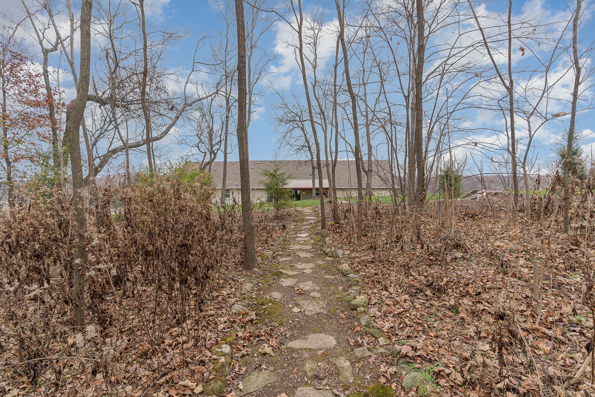 1525 Heller Ridge Spring Hill, TN 37174 - Photo 37 of 57 a backyard of a house with lots of green space