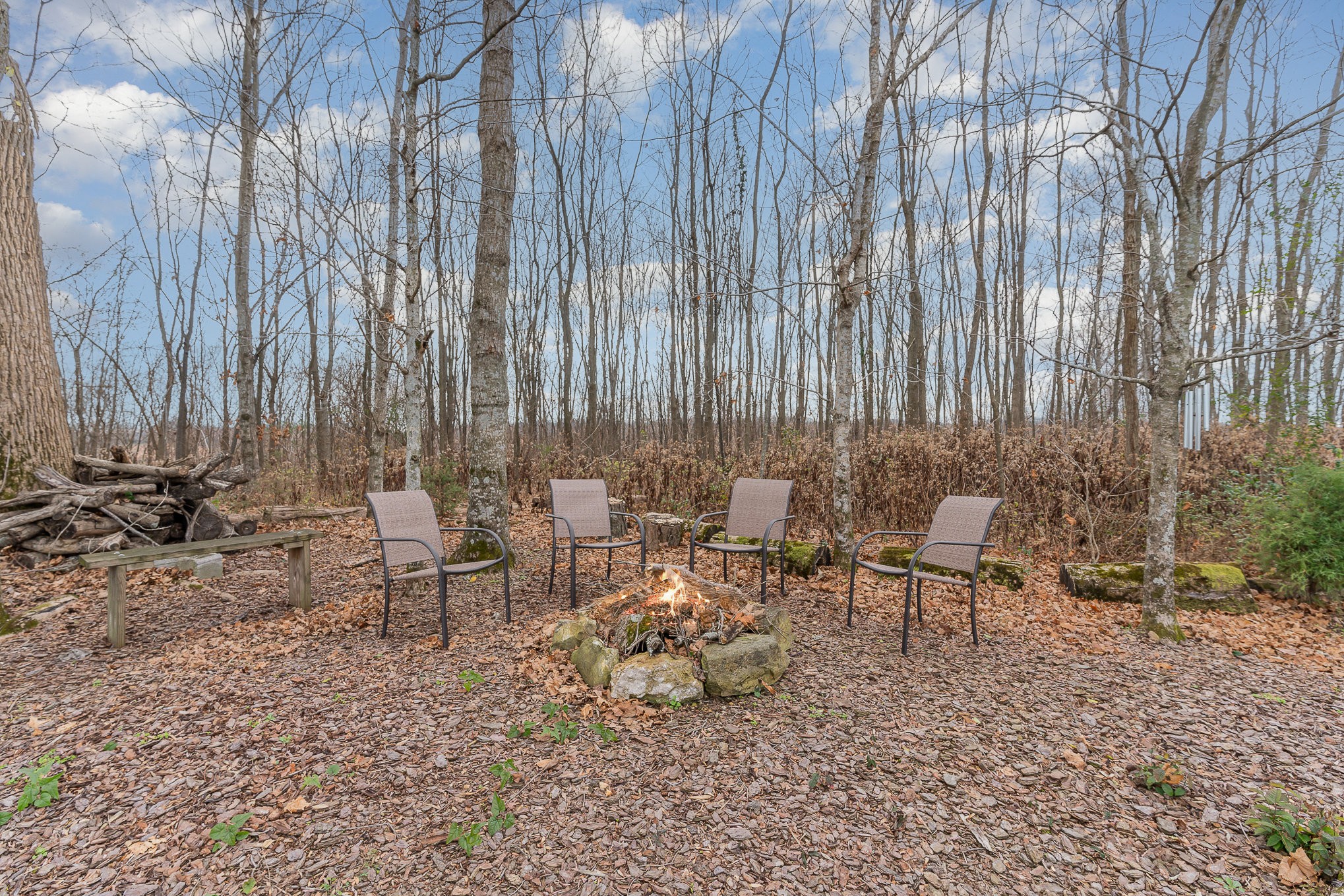 1525 Heller Ridge Spring Hill, TN 37174 - Photo 39 of 57