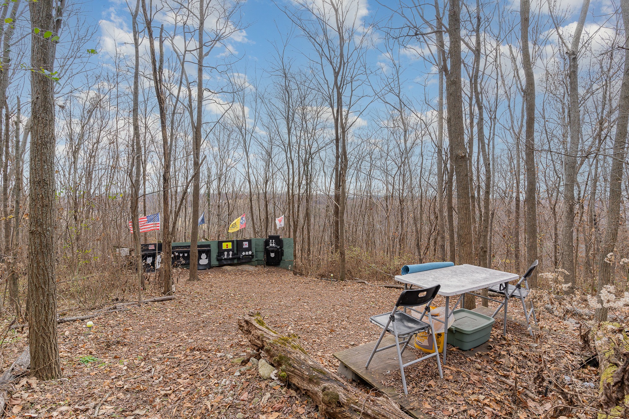 1525 Heller Ridge Spring Hill, TN 37174 - Photo 40 of 57