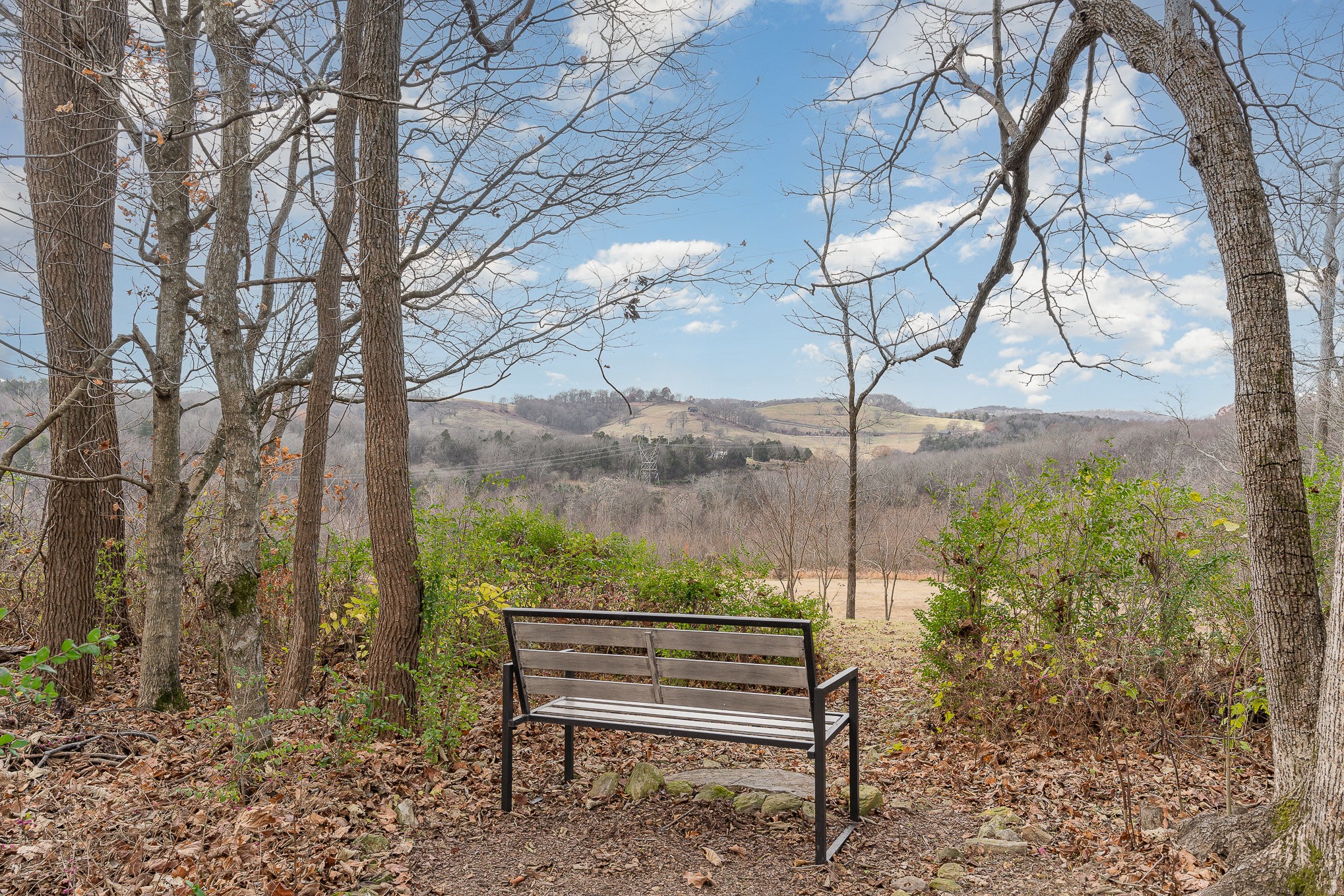 1525 Heller Ridge Spring Hill, TN 37174 - Photo 41 of 57 a view of a bench in a garden