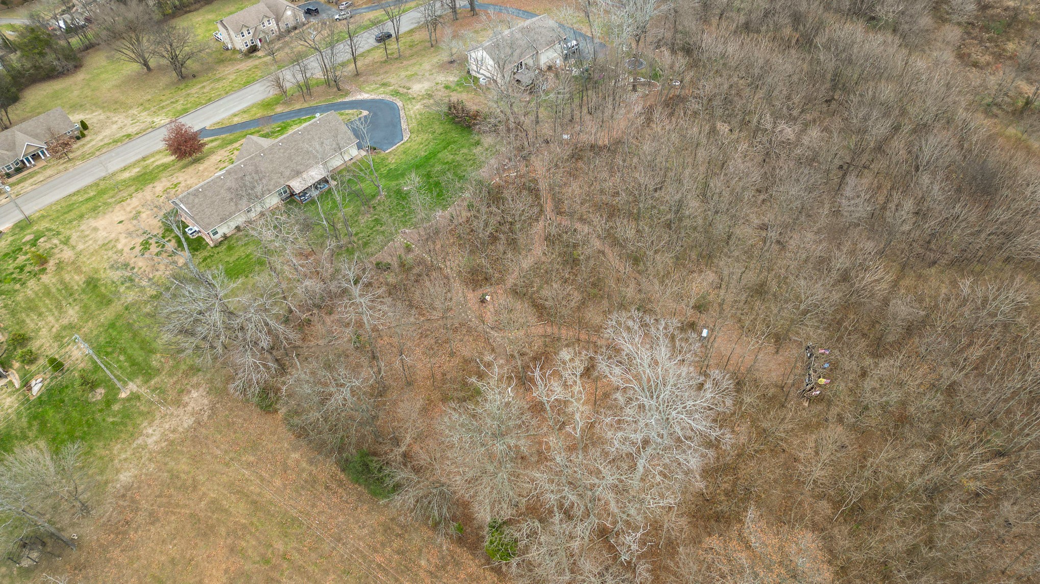 1525 Heller Ridge Spring Hill, TN 37174 - Photo 42 of 57 a view of a yard with a tree